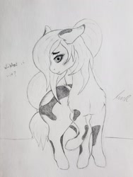Size: 1952x2594 | Tagged: safe, artist:teardrop, imported from derpibooru, oc, oc only, oc:tetra, earth pony, pony, adorasexy, blushing, butt, cute, dialogue, female, floppy ears, hair tie, large butt, long mane, long tail, looking at you, mare, monochrome, paint (horse breed), ponytail, sexy, shy, solo, spots, timid, traditional art, worried, yandere