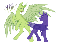 Size: 2160x1620 | Tagged: safe, artist:lunathemoongod, imported from derpibooru, oc, alicorn, pony, advertisement, chest fluff, colored pupils, commission, duo, ear fluff, eye contact, folded wings, horn, looking at each other, open mouth, rearing, shoulder fluff, simple background, smiling, spread wings, underhoof, white background, wings, ych example, your character here