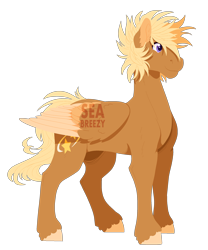 Size: 2000x2400 | Tagged: safe, artist:seabreezyy, imported from derpibooru, oc, oc only, oc:cinnamon star, pegasus, pony, high res, male, simple background, solo, stallion, transparent background