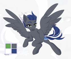 Size: 700x586 | Tagged: safe, artist:agurana, imported from derpibooru, oc, oc only, oc:platinum just, pegasus, pony, female, mare, reference sheet, simple background, solo, white background, zoom layer