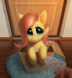 Size: 2408x2602 | Tagged: safe, artist:klooda, imported from derpibooru, fluttershy, pegasus, pony, box, cute, daaaaaaaaaaaw, detailed, detailed background, door, female, floor, flutterbox, folded wings, hand, high res, holding, hooves together, indoors, looking at you, looking up, looking up at you, mailbox, morning, note, offscreen character, open mouth, package, pony in a box, pov, realistic, room, rug, shyabetes, sitting, solo, text, weapons-grade cute, wings