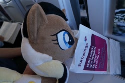 Size: 1024x684 | Tagged: safe, artist:cabraloca, imported from derpibooru, oc, oc:unity (brony fair), eurowings, irl, photo, plane, plushie, vomit bag