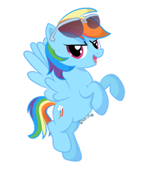 Size: 1280x1512 | Tagged: safe, artist:tenderrain-art, imported from derpibooru, rainbow dash, pony, simple background, solo, sunglasses, transparent background