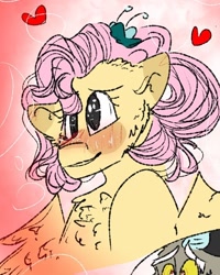 Size: 540x676 | Tagged: safe, artist:cocolove2176, imported from derpibooru, discord, fluttershy, draconequus, pegasus, pony, alternate hairstyle, blushing, chest fluff, cropped, female, heart, male, mare, offscreen character, solo focus, wings