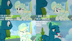 Size: 2000x1125 | Tagged: safe, edit, edited screencap, editor:quoterific, imported from derpibooru, screencap, sky stinger, vapor trail, pegasus, pony, top bolt, cute, eyes closed, female, male, mare, open mouth, sneezing, stallion, vaporbetes