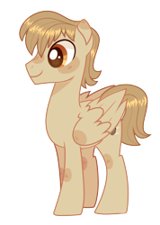 Size: 2637x3695 | Tagged: safe, artist:auroramint, imported from derpibooru, oc, oc only, oc:sky strummer, pegasus, pony, high res, male, reference, solo, stallion