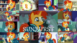 Size: 1968x1108 | Tagged: safe, edit, edited screencap, editor:quoterific, imported from derpibooru, screencap, cranky doodle donkey, daisy, flower wishes, midnight snack (character), princess flurry heart, sunburst, alicorn, donkey, earth pony, pony, unicorn, a horse shoe-in, a trivial pursuit, celestial advice, shadow play, student counsel, the crystalling, the cutie re-mark, the parent map, the times they are a changeling, uncommon bond, book, female, friendship student, levitation, magic, male, mare, midnight snack (g4), stallion, telekinesis