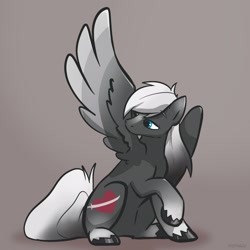 Size: 2048x2048 | Tagged: safe, artist:pfeffaroo, imported from derpibooru, oc, oc only, oc:sacred blade, pegasus, pony, grooming, high res, preening, solo