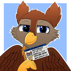Size: 2000x2000 | Tagged: safe, artist:h3nger, imported from derpibooru, oc, oc only, oc:peregrine, griffon, claws, griffon oc, high res, horny on main, id card, license, male, solo, wings