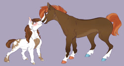 Size: 1280x683 | Tagged: safe, artist:glorymoon, imported from derpibooru, button mash, pipsqueak, earth pony, pony, :i, blaze (coat marking), blushing, boop, buttonsqueak, cheek fluff, chest fluff, coat markings, colored hooves, eye contact, eyebrows, eyebrows visible through hair, facial markings, gay, grin, hoers, looking at each other, male, neck fluff, noseboop, older, purple background, shipping, simple background, size difference, smiling, socks (coat markings), stallion, unshorn fetlocks