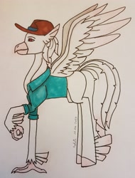 Size: 2609x3440 | Tagged: safe, artist:agdapl, imported from derpibooru, classical hippogriff, hippogriff, clothes, crossover, female, hat, high res, hippogriffied, rule 63, signature, sniper, solo, species swap, team fortress 2, traditional art