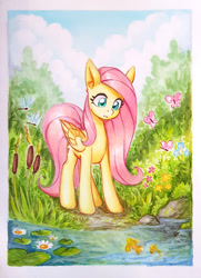 Size: 600x830 | Tagged: safe, artist:asimos, imported from derpibooru, cattail, fluttershy, butterfly, dragonfly, fish, insect, pegasus, pony, cloud, colored pencil drawing, cute, female, lilypad, mare, marker drawing, markers, scenery, shyabetes, solo, traditional art, water