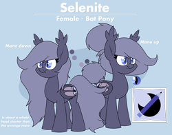 Size: 2716x2128 | Tagged: safe, artist:moonatik, imported from derpibooru, oc, oc only, oc:selenite, bat pony, pony, bat pony oc, clothes, cutie mark, fangs, hair bun, high res, reference sheet, short, solo, tail bun, text