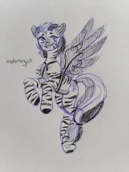 Size: 1200x1600 | Tagged: safe, artist:malarunych, imported from derpibooru, oc, oc only, pony, zebra, solo, wings, zebra oc