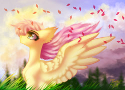 Size: 1400x1000 | Tagged: safe, artist:jsunlight, imported from derpibooru, fluttershy, pegasus, pony, digital art, solo, spring