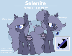 Size: 2716x2128 | Tagged: safe, artist:moonatik, imported from derpibooru, oc, oc only, oc:selenite, bat pony, pony, bat pony oc, bat wings, clothes, cutie mark, fangs, hair bun, reference sheet, short, tail bun, text, wings