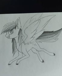 Size: 1080x1321 | Tagged: safe, artist:katkatdesign, imported from derpibooru, rainbow dash, pegasus, pony, eyelashes, female, grayscale, lineart, mare, monochrome, smiling, solo, traditional art, wings