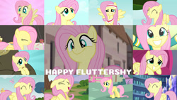 Size: 1280x721 | Tagged: safe, edit, edited screencap, editor:quoterific, imported from derpibooru, screencap, fluttershy, harry, bear, butterfly, pegasus, pony, a bird in the hoof, all bottled up, daring don't, do princesses dream of magic sheep, filli vanilli, hurricane fluttershy, may the best pet win, rainbow falls, scare master, season 1, season 2, season 3, season 4, season 5, season 7, season 9, stare master, sweet and smoky, the cutie map, too many pinkie pies, ^^, cute, eyes closed, female, grin, looking up, mare, open mouth, shyabetes, smiling, twilight's castle