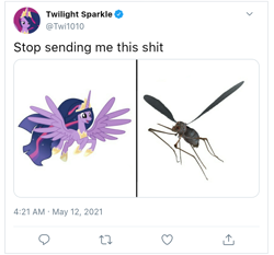 Size: 720x671 | Tagged: safe, edit, imported from derpibooru, screencap, twilight sparkle, alicorn, insect, mosquito, pony, the last problem, fallout, meme, meta, older, older twilight, princess twilight 2.0, twilight sparkle (alicorn), twitter, vulgar