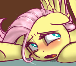 Size: 705x613 | Tagged: safe, artist:crade, fluttershy, pegasus, pony, drool