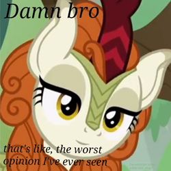 Size: 934x934 | Tagged: safe, alternate version, edit, edited screencap, imported from derpibooru, screencap, autumn blaze, kirin, sounds of silence, female, inverted mouth, reaction image, solo