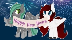 Size: 711x398 | Tagged: safe, artist:roeswolfcreations, imported from derpibooru, oc, oc only, pegasus, pony, banner, coat markings, fireworks, happy new year, holiday, pegasus oc, socks (coat markings), wings