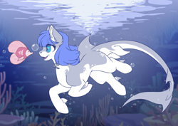 Size: 3507x2481 | Tagged: safe, artist:arctic-fox, imported from derpibooru, oc, oc only, oc:snow pup, fish, original species, shark, shark pony, birbshark, bubble, collar, ear fluff, female, high res, looking at each other, mare, open mouth, pale belly, pet tag, solo, species swap, swimming, teeth, underwater