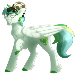 Size: 1106x1080 | Tagged: safe, artist:faith-wolff, imported from derpibooru, oc, oc only, oc:shell watch, pegasus, pony, tortoise, simple background, solo, transparent background