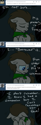 Size: 600x1804 | Tagged: safe, artist:toadstool-prancer, imported from derpibooru, doctor whooves, time turner, oc, oc:tantamount, earth pony, pony, ask, disguise, disguised changeling, solo, tantamount time turner, tumblr