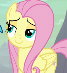 Size: 659x717 | Tagged: safe, imported from derpibooru, screencap, fluttershy, princess ember, pegasus, pony, sweet and smoky, cropped, lidded eyes, offscreen character, smiling, solo focus