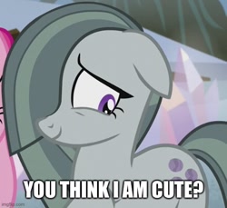 Size: 547x500 | Tagged: safe, edit, edited screencap, imported from derpibooru, screencap, marble pie, pinkie pie, earth pony, pony, hearthbreakers, season 5, bronybait, caption, cropped, cute, duo, duo female, female, floppy ears, image macro, imgflip, marblebetes, mare, offscreen character, offscreen female, smiling, solo focus, text