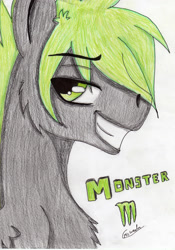 Size: 2458x3509 | Tagged: safe, artist:beamybutt, imported from derpibooru, oc, oc only, pegasus, pony, bust, chest fluff, grin, high res, male, pegasus oc, signature, simple background, smiling, solo, stallion, traditional art, white background