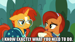 Size: 1280x720 | Tagged: safe, editor:jaredking203, imported from derpibooru, screencap, stellar flare, sunburst, pony, unicorn, the parent map, blaze (coat marking), caption, cloak, clothes, coat markings, facial markings, female, glasses, image macro, male, mare, meme, mother and child, mother and son, socks (coat markings), stallion, sunburst's cloak, sunburst's glasses, text