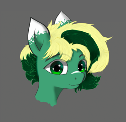 Size: 2396x2322 | Tagged: safe, artist:kolonsky, imported from derpibooru, oc, oc only, oc:inex code, pegasus, pony, bust, high res, looking at you, male, simple background, smiling, solo, stallion