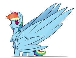 Size: 6300x4800 | Tagged: safe, artist:dacaoo, imported from derpibooru, rainbow dash, pegasus, pony, absurd resolution, female, impossibly large wings, large wings, mare, no pupils, simple background, solo, transparent background, wings