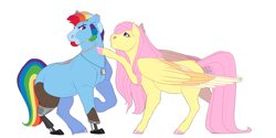 Size: 3000x1500 | Tagged: safe, artist:uunicornicc, imported from derpibooru, fluttershy, rainbow dash, pegasus, pony, amputee, dog tags, female, flutterblitz, flutterdash, half r63 shipping, male, mare, prosthetic limb, prosthetics, rainbow blitz, rule 63, scar, shipping, simple background, stallion, straight, white background, wingless