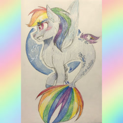 Size: 2289x2289 | Tagged: safe, artist:jdash15, imported from derpibooru, rainbow dash, pegasus, pony, seapony (g4), blushing, dorsal fin, female, fin wings, fish tail, high res, pink eyes, seaponified, seapony rainbow dash, simple background, smiling, solo, species swap, tail, traditional art, white background, wings