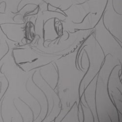 Size: 1080x1080 | Tagged: safe, artist:cocolove2176, imported from derpibooru, fluttershy, pegasus, pony, blushing, bust, female, grayscale, lineart, mare, monochrome, traditional art