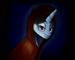 Size: 2000x1600 | Tagged: safe, artist:srbolsa, imported from derpibooru, oc, oc only, oc:mysterious science, unicorn, cloak, clothes, hood