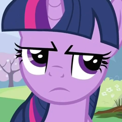 Size: 350x350 | Tagged: safe, imported from derpibooru, screencap, twilight sparkle, pony, unicorn, a canterlot wedding, season 2, bush, cropped, female, field, flower, looking up, mare, profile picture, serious, serious face, tree, twilight is not amused, twilight sparkle is not amused, unamused, unicorn twilight