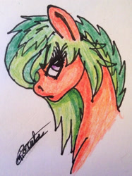 Size: 2025x2712 | Tagged: safe, artist:beamybutt, imported from derpibooru, oc, oc only, earth pony, pony, bust, earth pony oc, eyelashes, female, high res, mare, signature, solo, traditional art