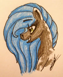 Size: 2073x2531 | Tagged: safe, artist:beamybutt, imported from derpibooru, oc, oc only, earth pony, pony, bust, earth pony oc, eyelashes, female, grin, high res, mare, signature, smiling, solo, traditional art