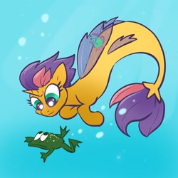 Size: 2048x2048 | Tagged: safe, artist:pfeffaroo, imported from derpibooru, oc, oc only, oc:kettle chip, frog, seapony (g4), bubble, fish tail, high res, horn, seaponified, solo, species swap, swimming, tail, underwater, water