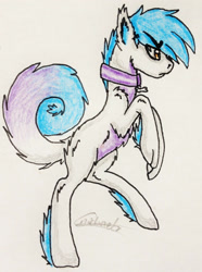 Size: 1746x2352 | Tagged: safe, artist:beamybutt, imported from derpibooru, oc, oc only, pony, wolf, wolf pony, collar, male, rearing, signature, solo, traditional art