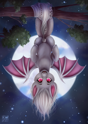 Size: 2508x3541 | Tagged: safe, artist:das_leben, imported from derpibooru, oc, oc only, oc:shikaka, bat pony, pony, vampire bat pony, albino, bat pony oc, bat wings, bow, braided tail, commission, hanging, hanging upside down, high res, moon, solo, tail bow, tree branch, upside down, wings