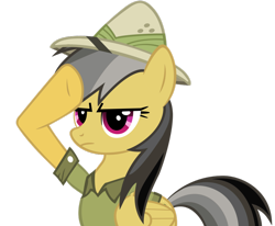 Size: 900x743 | Tagged: safe, artist:bc-programming, imported from derpibooru, daring do, pegasus, pony, hat, salute, vector