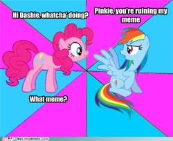 Size: 500x408 | Tagged: safe, imported from derpibooru, pinkie pie, rainbow dash, earth pony, pegasus, annoyed, caption, duo, female, image macro, looking at each other, mare, meme, my little brony, text