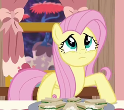 Size: 618x546 | Tagged: safe, imported from derpibooru, screencap, fluttershy, pegasus, pony, discordant harmony, season 7, cropped, cute, female, food, mare, sad, sandwich, shyabetes, solo