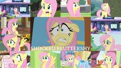 Size: 1280x721 | Tagged: safe, edit, edited screencap, editor:quoterific, imported from derpibooru, screencap, fluttershy, rainbow dash, bird, pegasus, pony, dragonshy, filli vanilli, flutter brutter, fluttershy leans in, games ponies play, green isn't your color, it ain't easy being breezies, just for sidekicks, magic duel, princess twilight sparkle (episode), season 1, season 2, season 3, season 4, season 6, season 7, stare master, the crystal empire, the return of harmony, :o, bag, diamond, duo, duo female, eyes closed, female, mare, open mouth, saddle bag, scared, shocked, shocked expression, train station, wide eyes