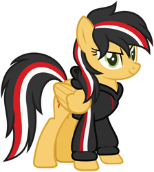 Size: 1024x1141 | Tagged: safe, artist:pegasski, imported from derpibooru, oc, oc only, oc:aurelian, pegasus, pony, clothes, female, hoodie, mare, simple background, solo, transparent background